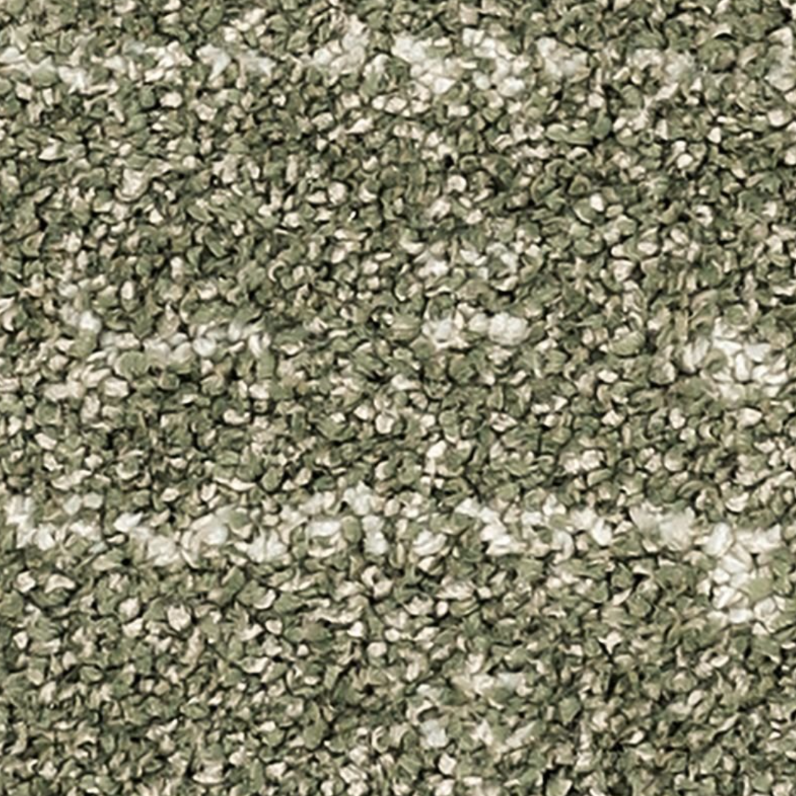 PETPremier® carpet: Paw-Some Plaid